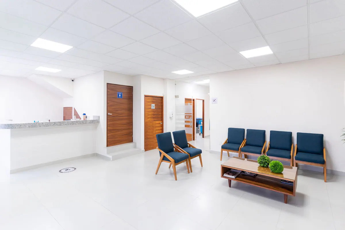 A bright clinic waiting room with armchairs and plants
